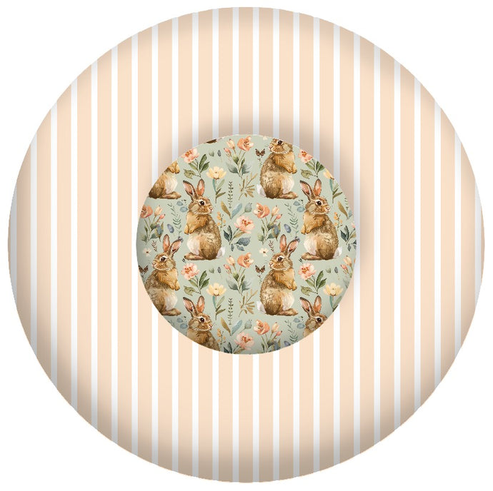 Clara Play Donut