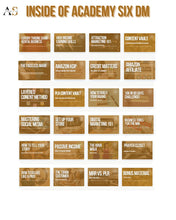 Load image into Gallery viewer, Academy Six DM