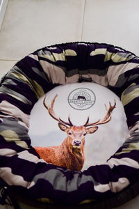Antelope Play Donut